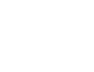 Logo 8